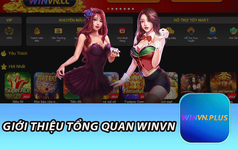 Giới Thiệu Tổng Quan Winvn