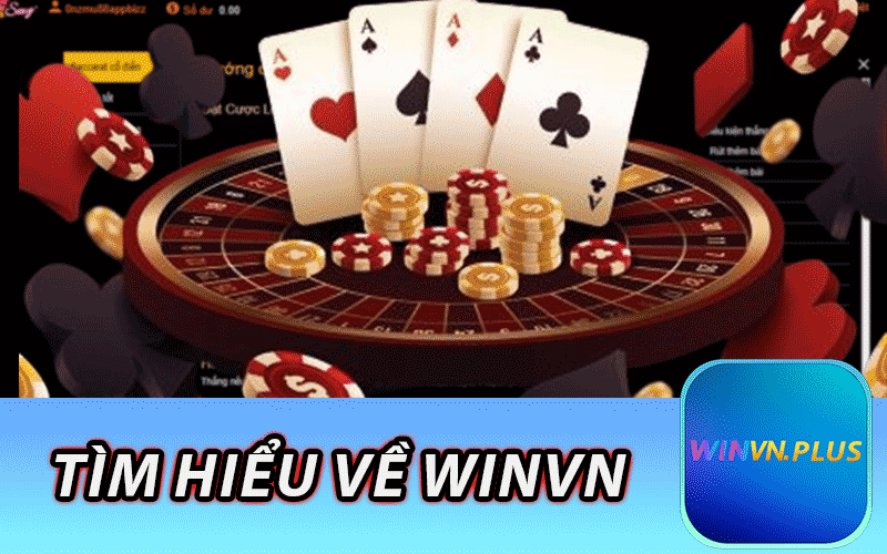 Tìm Hiểu Về Winvn