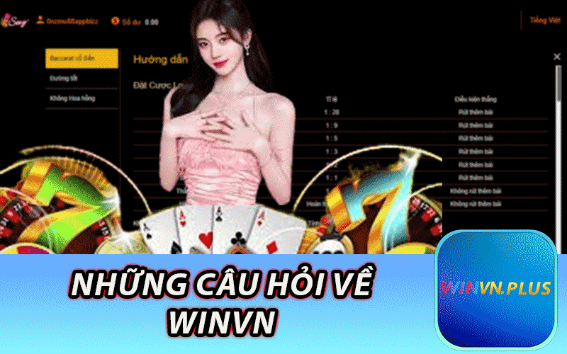 Những Câu Hỏi Về Winvn